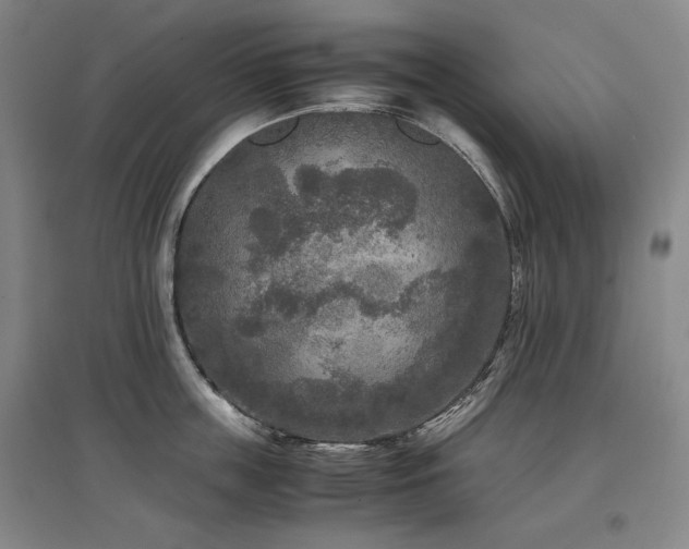 X0000097480859200802221350