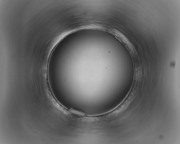 X0000097480860200802221350