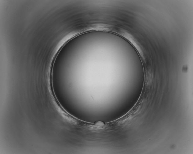 X0000097480861200802221350