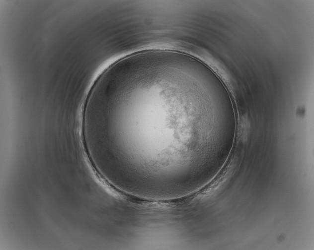X0000097480862200802221350