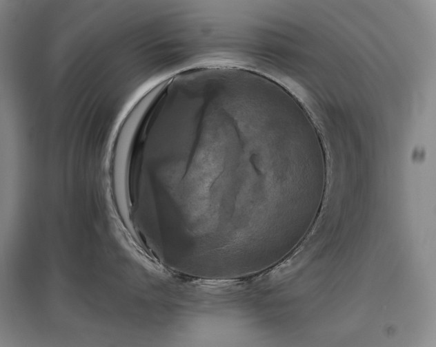 X0000097480864200802221350