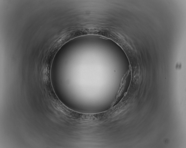 X0000097480866200802221350