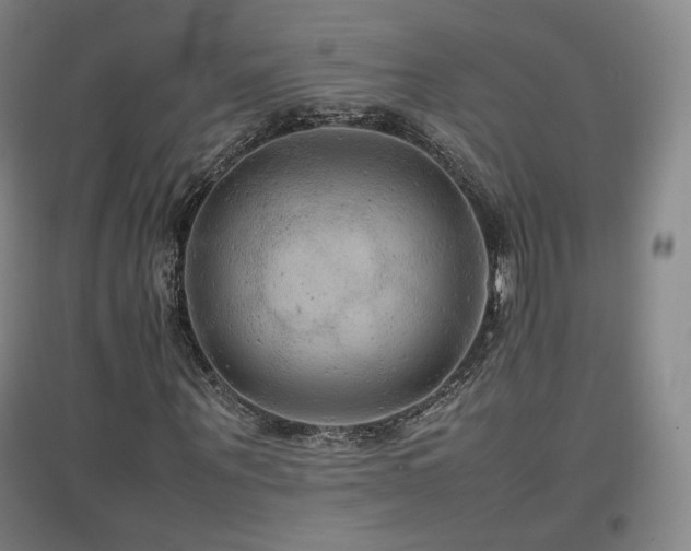 X0000097480867200802221350