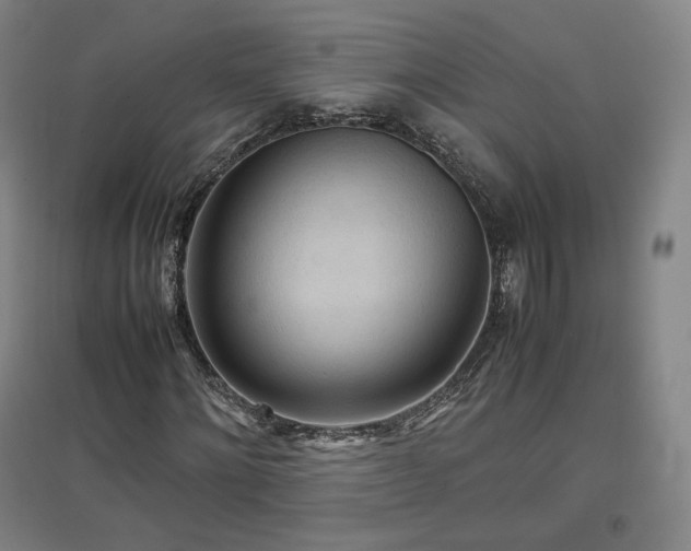 X0000097480868200802221350