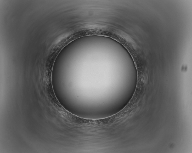X0000097480869200802221350