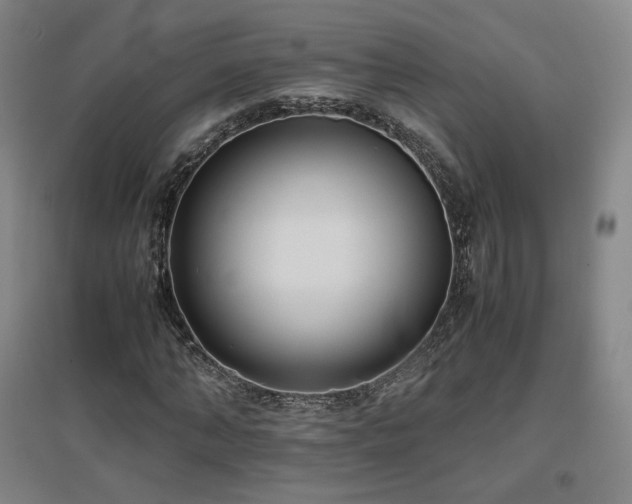 X0000097480870200802221350