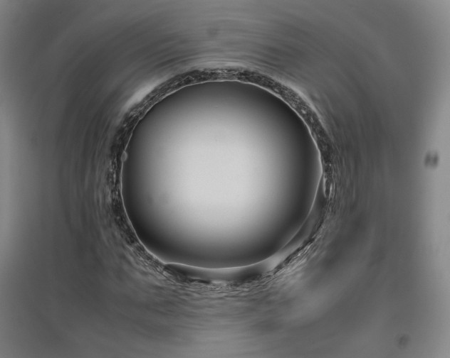 X0000097480871200802221350