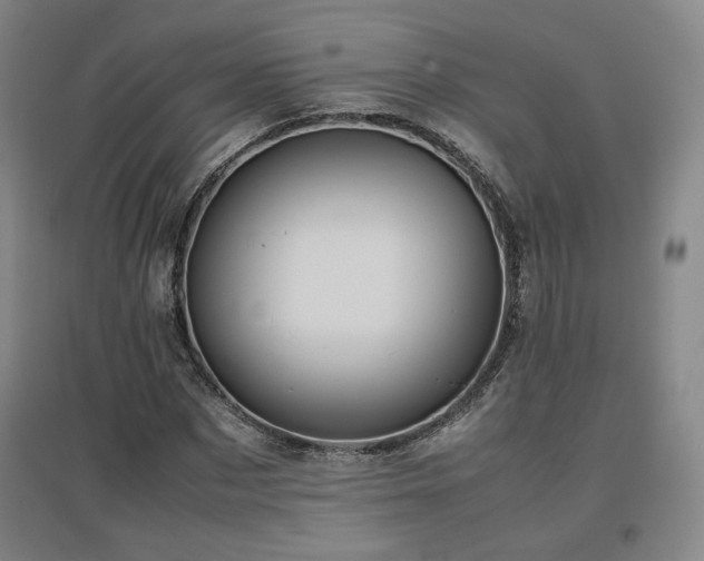 X0000097480873200802221350