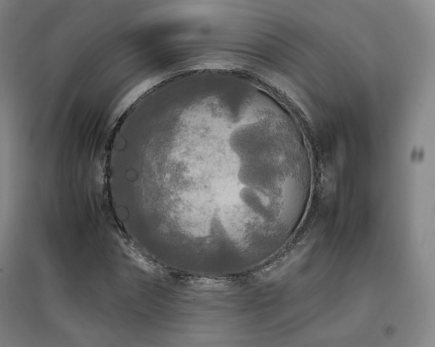 X0000097480874200802221350