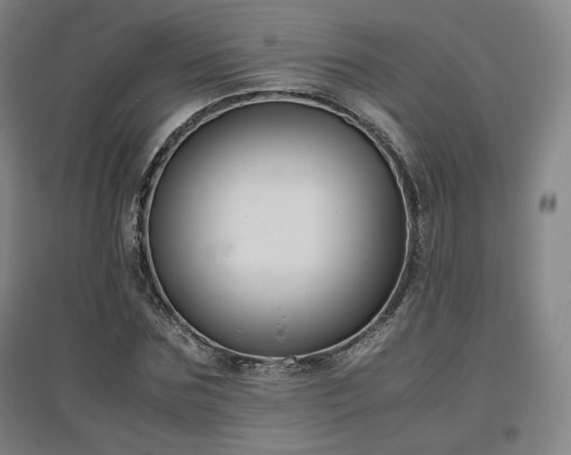 X0000097480875200802221350