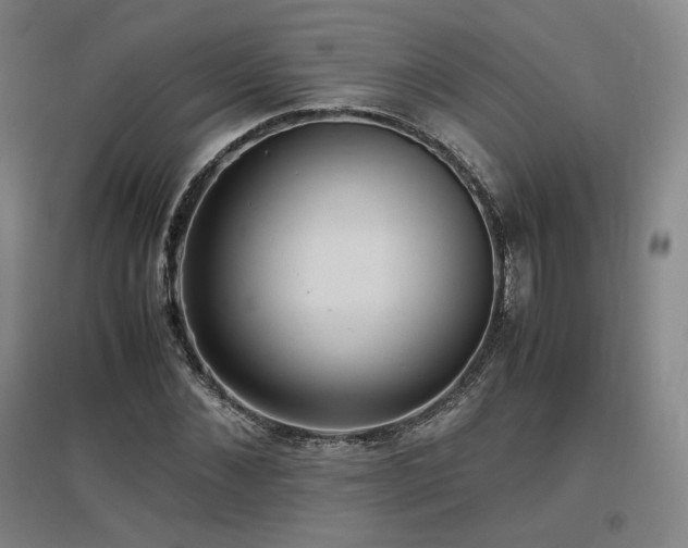 X0000097480876200802221350