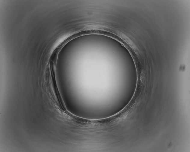X0000097480877200802221350