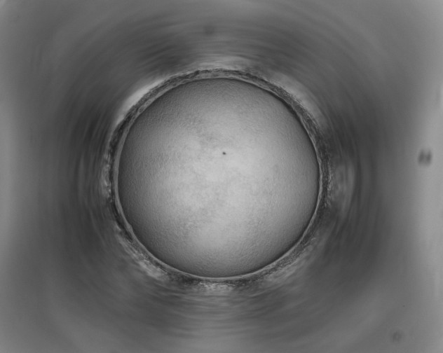 X0000097480878200802221349