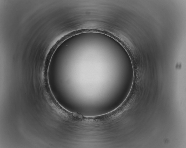 X0000097480880200802221349