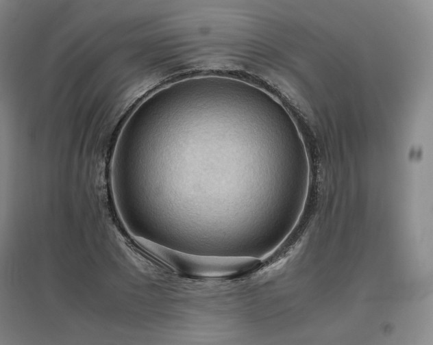 X0000097480881200802221349