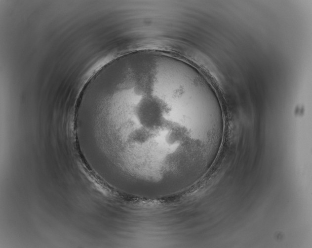 X0000097480882200802221349