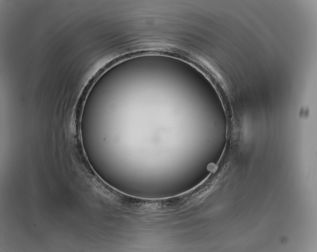X0000097480883200802221349