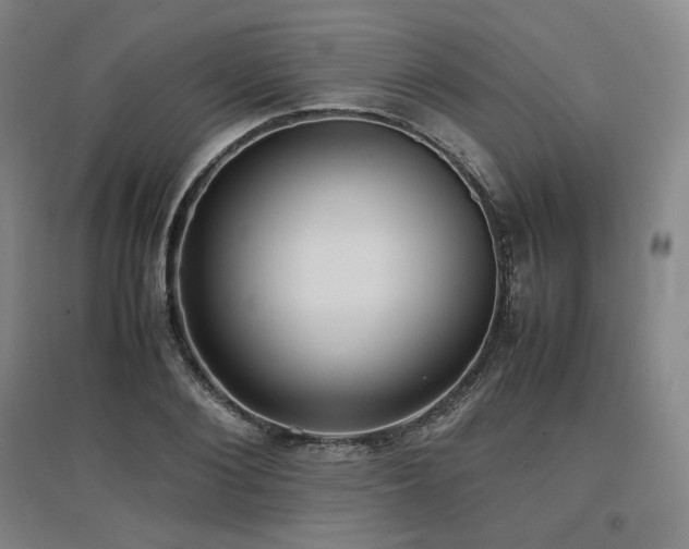 X0000097480884200802221349