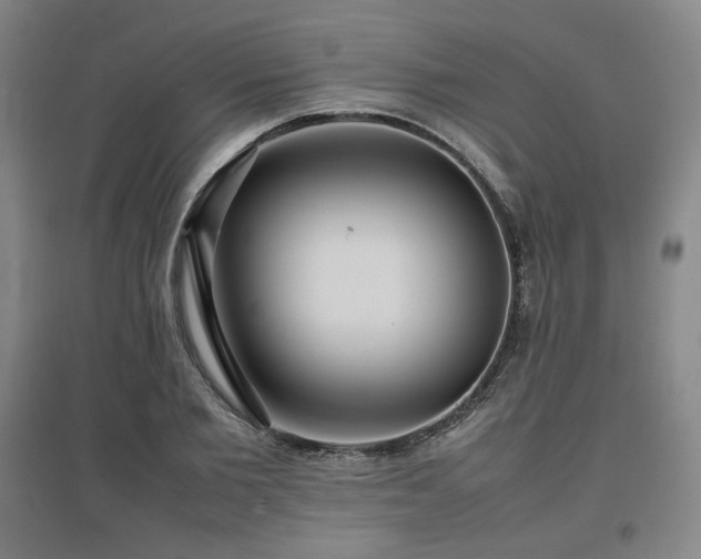 X0000097480885200802221349