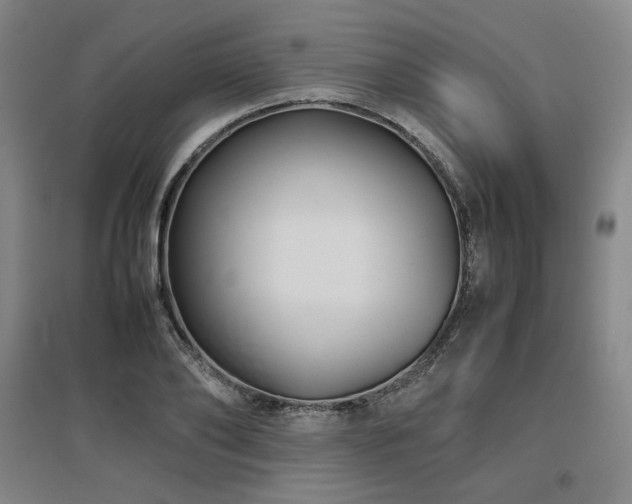X0000097480886200802221349