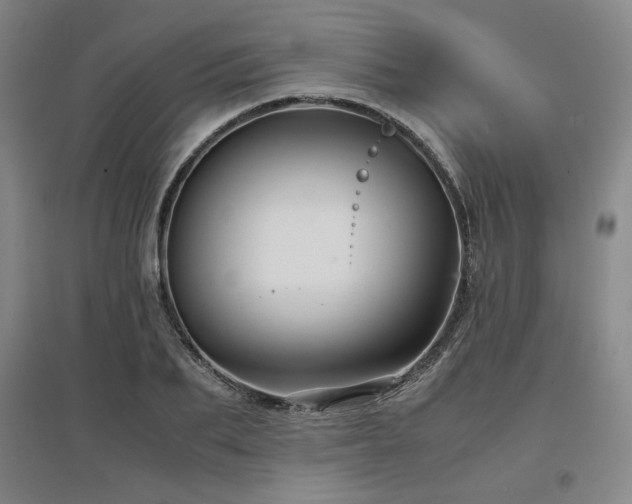 X0000097480887200802221349