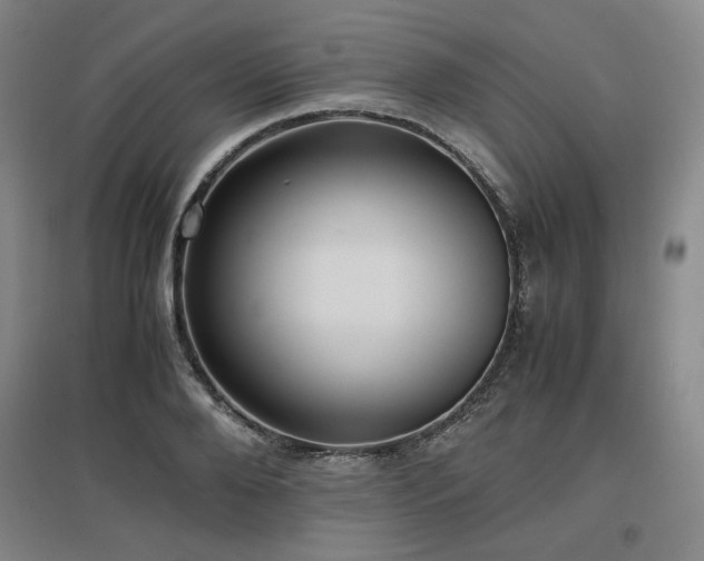 X0000097480888200802221349