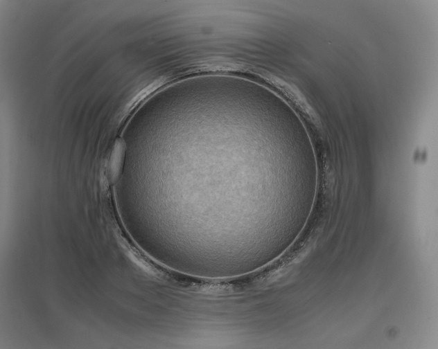 X0000097480889200802221349