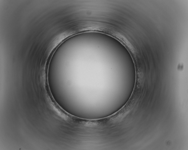 X0000097480890200802221349
