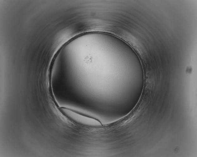 X0000097480892200802221349