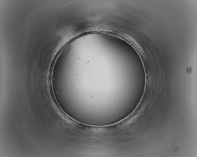 X0000097480893200802221349