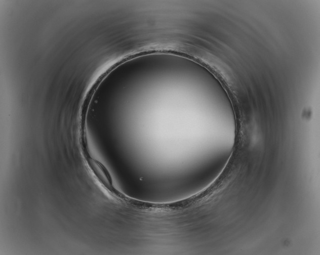 X0000097480894200802221349