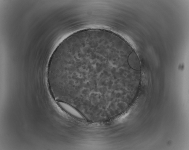 X0000097480895200802221349