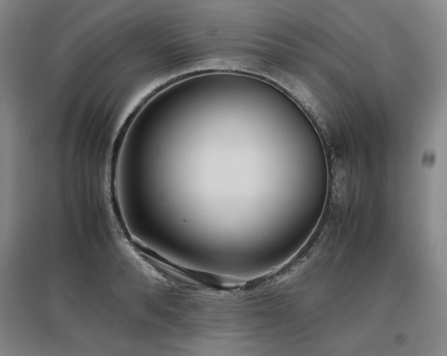 X0000097480896200802221349