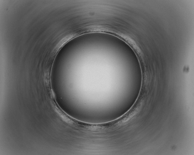 X0000097480897200802221349
