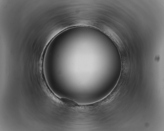 X0000097480900200802221349
