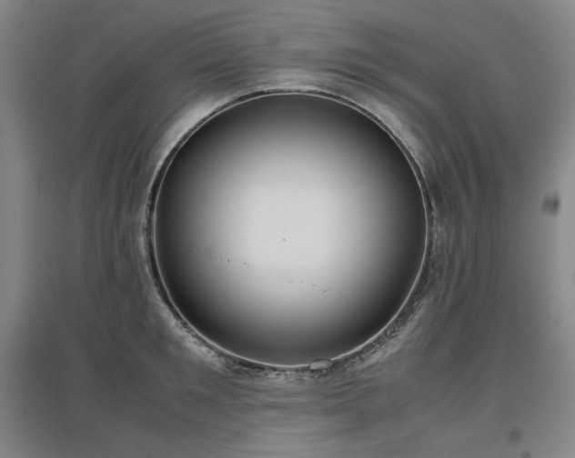 X0000097480901200802221349