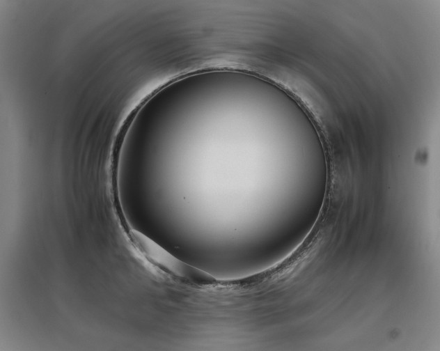 X0000097480902200802221349