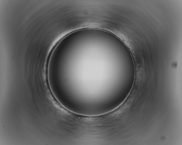 X0000097480904200802221349