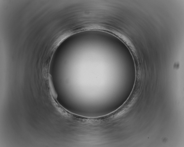 X0000097480905200802221349