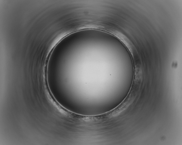 X0000097480906200802221349