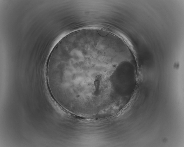 X0000097480907200802221349