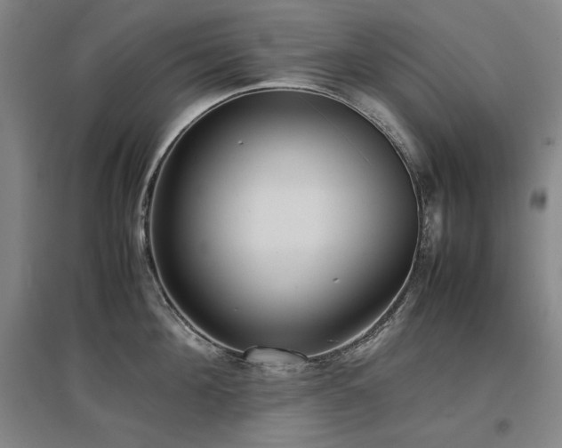 X0000097480908200802221349