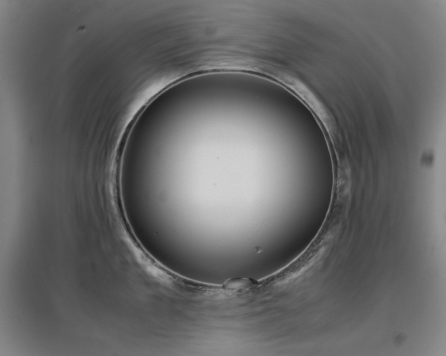X0000097480909200802221349