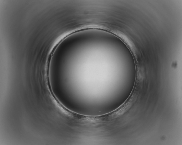 X0000097480910200802221349