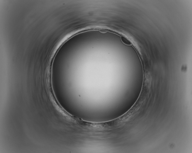 X0000097480911200802221349