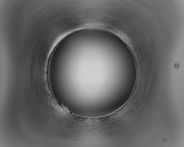 X0000097480912200802221349