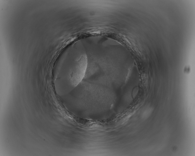 X0000097480913200802221348