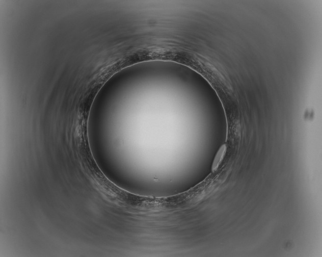 X0000097480914200802221348