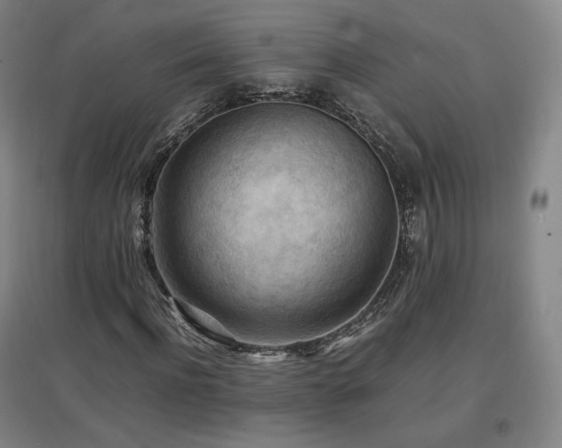 X0000097480916200802221348