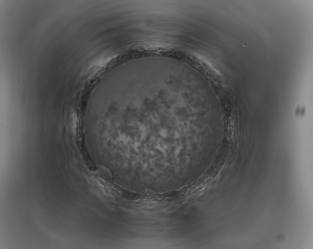 X0000097480917200802221348